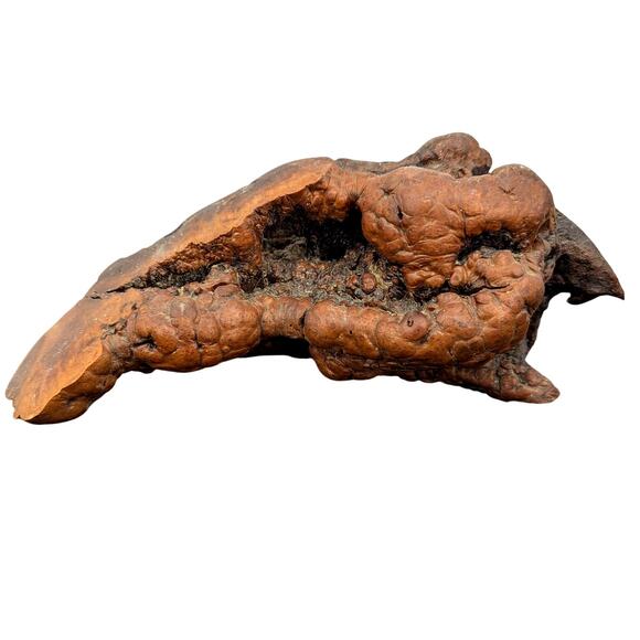 Beautiful Unique Piece of Petrified Wood MCM fossil mineral specimen healing - Picture 11 of 15